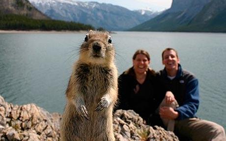 Squirrel shows up on holiday photo after self timer catches it.